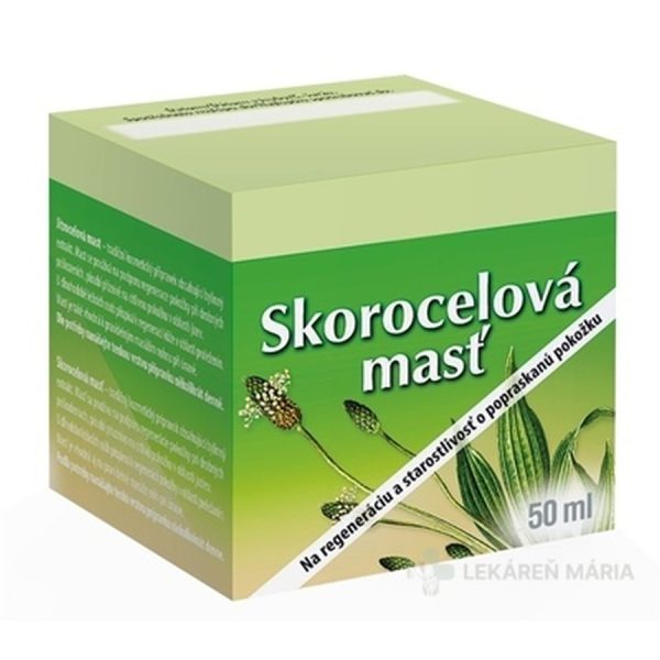 HERBACOS SKOROCELOVÁ MASŤ